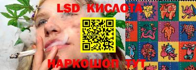 шишки Ярославль