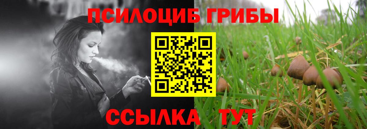 Галлюциногенные грибы Magic Shrooms  Вход с VPN  купить   Бузулук 